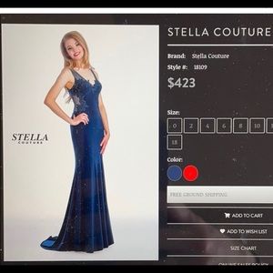 Black tie or Prom!! Bought NYC Garment District! Sheer back side cutouts. Sz 4